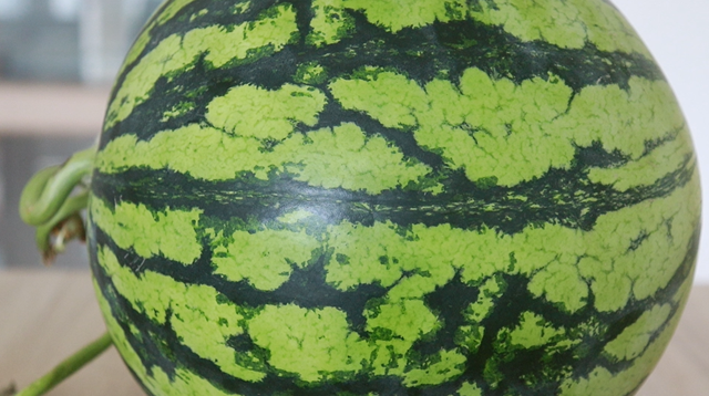 怎样挑选西瓜，怎样挑选西瓜才是最好的（吃了20多年西瓜才知道）