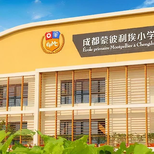 成都市小学校排名前十的,成都小学名校排名(成都超"洋气"的几所公办