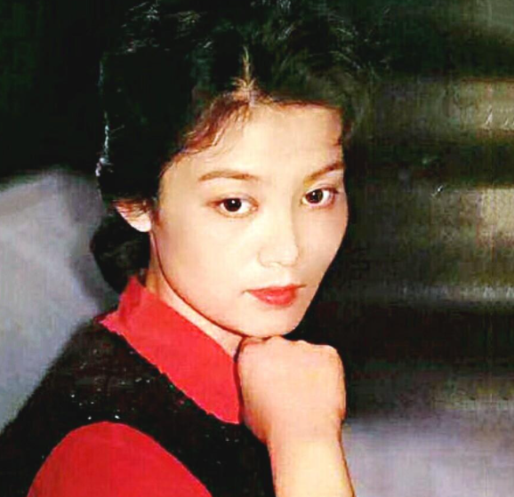 潘虹电视剧作品，潘虹电视剧（《欢天喜地七仙女》17年后）