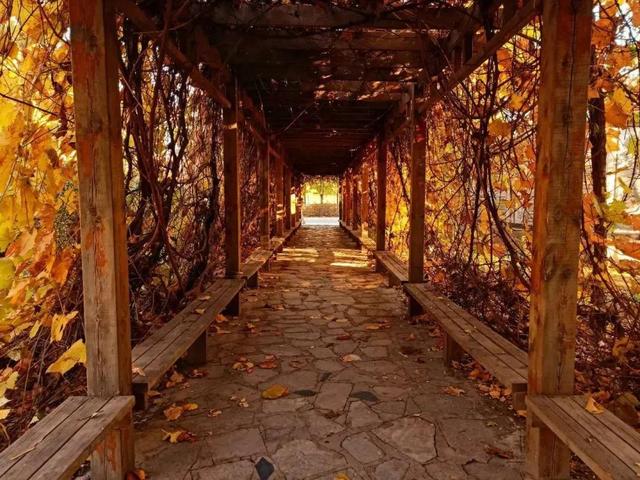 沈阳城市建设学院是几本，沈阳城市建设学院是几本大学（<十一>沈阳城市建设学院）