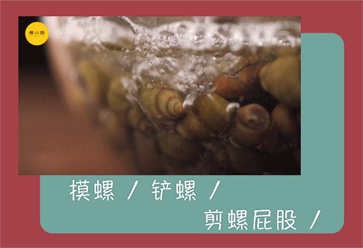 螺什么意思解释，螺字笔画笔顺（螺：中国人嘴上的阶级斗争）