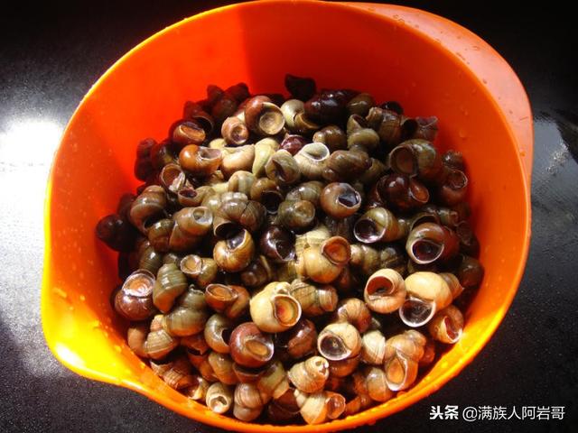 羊肉焖田螺怎么做好吃，鸡肉焖田螺怎样做才好吃（红烧螺蛳+清汤羊肉！）