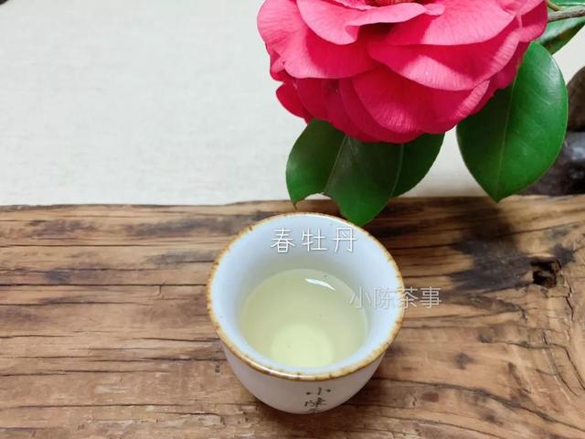 白牡丹茶怎么泡，白牡丹是什么茶（白茶春牡丹和秋牡丹）