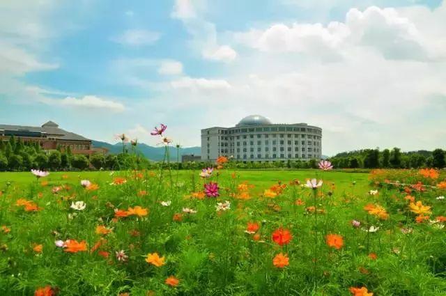 多肉是什么植物，多肉植物是什么植物（中国春天最美15座大学）