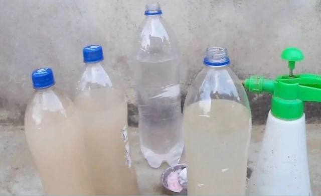 洗米水怎么处理才达标排放，洗米水能杀菌吗（就先将淘米水、菜叶子制作成肥料吧）