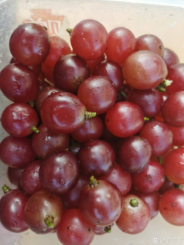 葡萄干怎么保存，葡萄干储存温度（葡萄干的制作方法太奇特）