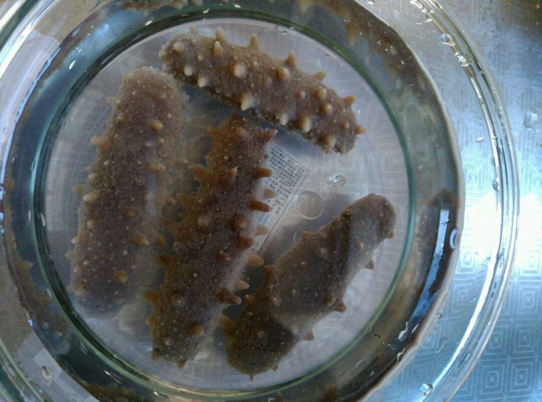 沙海参怎么洗干净(海参有沙子啦?这样处理,让你轻松解决!