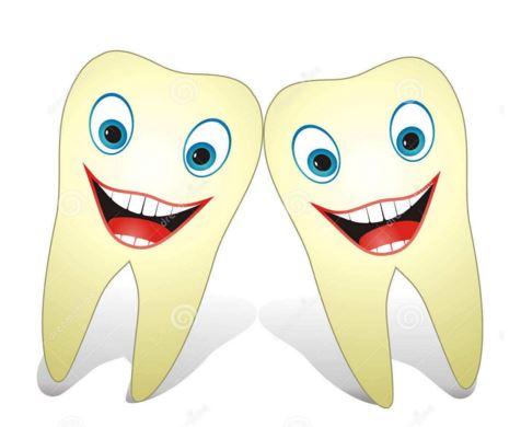 dentist是什么意思，dentist什么意思中文（英语词根记忆法-dent）