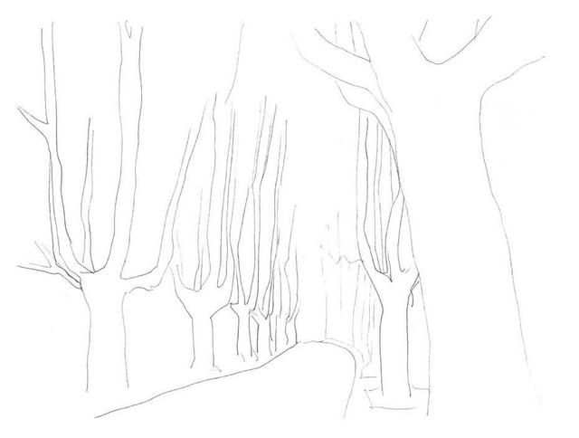 小树简笔画怎么画，小树的简笔画怎么画（教你三种常见树木画法）