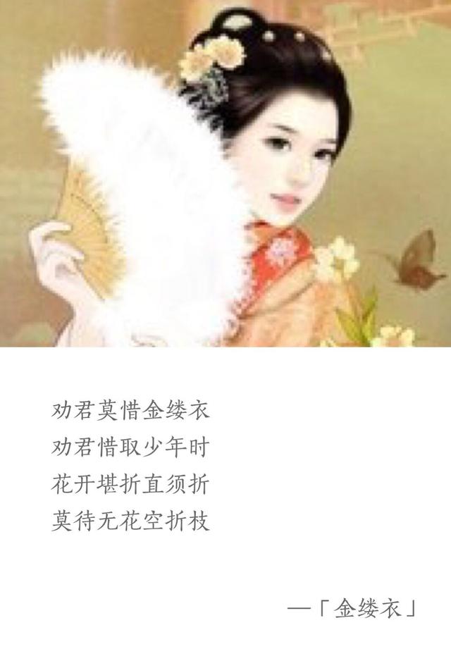 花开堪折直须折，花开堪折直须折的下一句是什么（唐·杜秋娘《金缕衣》附朗读、赛大家集字）