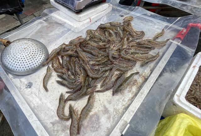 辽宁最穷十大城市排名，辽宁最穷的五个市（本溪、铁岭、阜新谁能在2019翻盘呢）