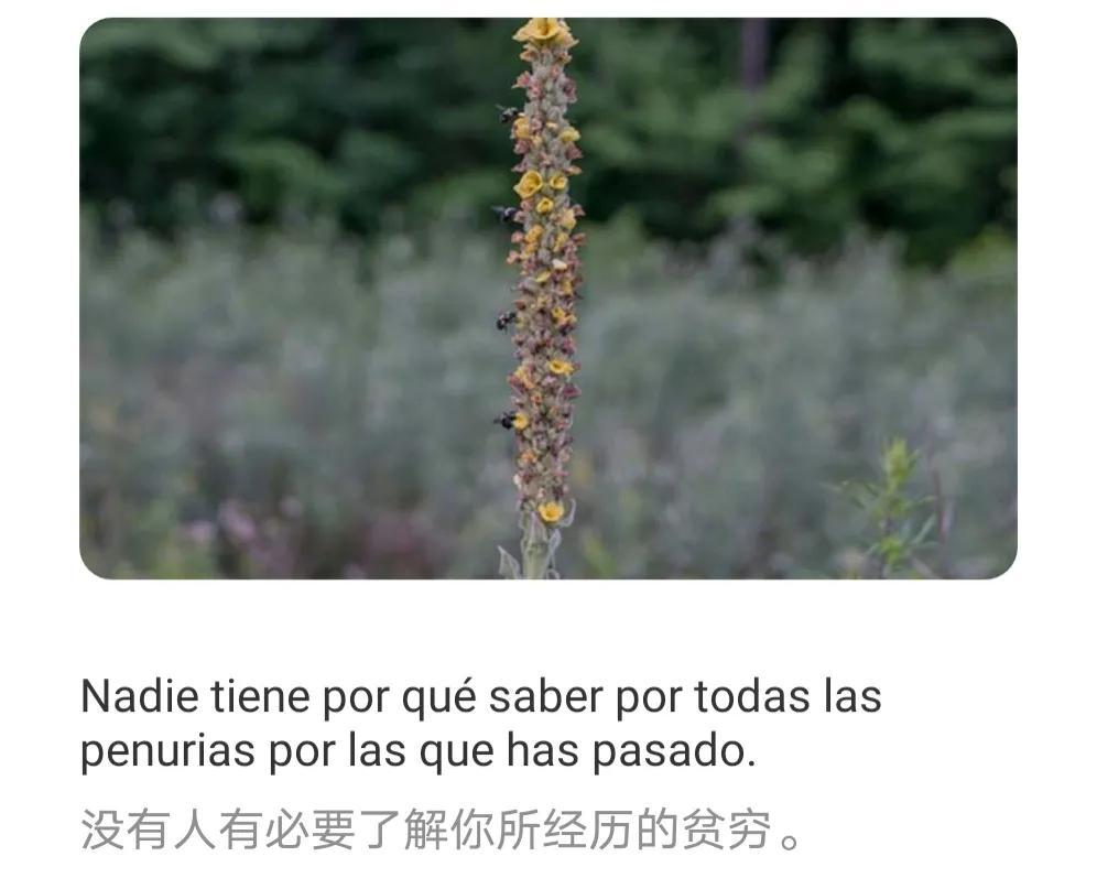 trueno(Rutini)
