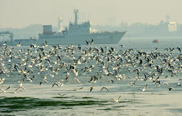 雷州半岛，不一样的冬天：慢游雷州半岛（雷州半岛属于哪个市）