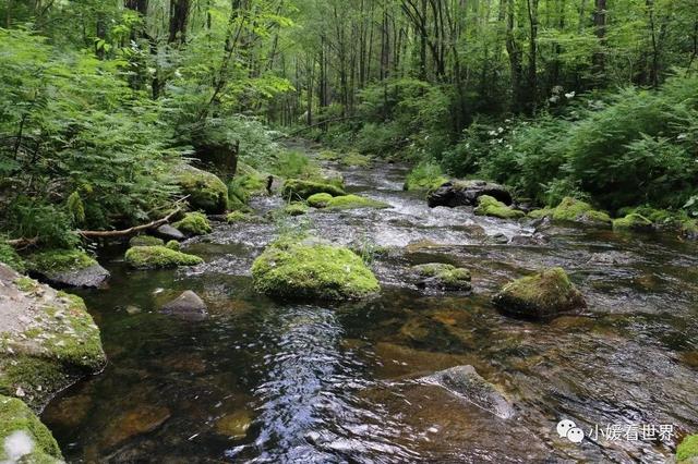 牡丹江有什么好玩的地方，敦化有什么好玩的地方（牡丹江柴河小九寨）