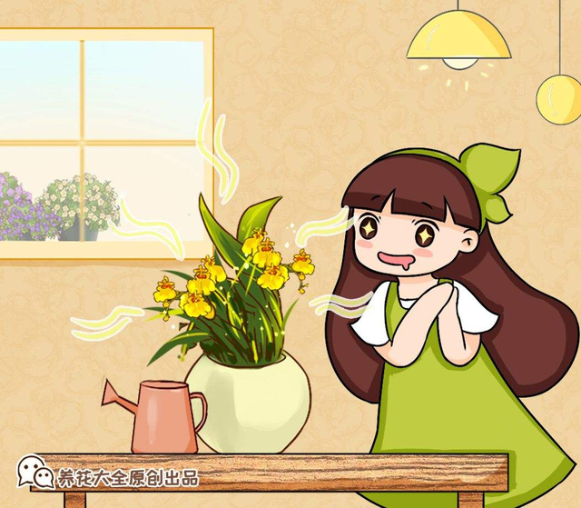 perfume组合，如何评价Perfume香水组合（家里养组合香水花）