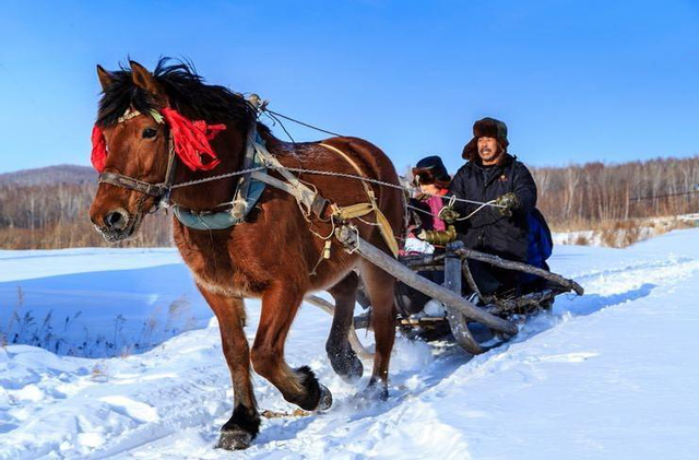 漠河县在哪个省的哪个市，漠河属于我国哪个省（必去景点+线路+美食+交通攻略）