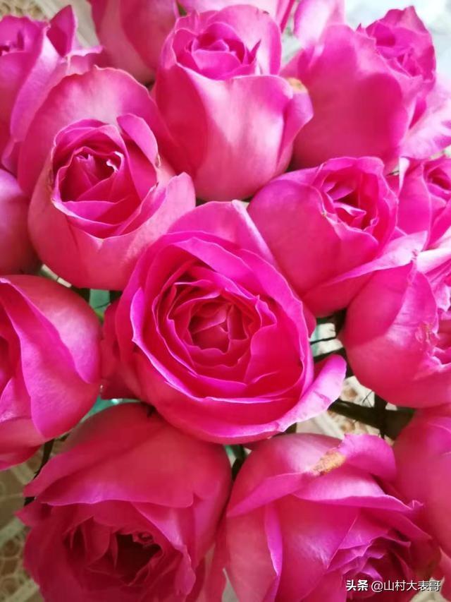 香皂的成分，舒肤佳香皂的成分（手工香皂制作配方）