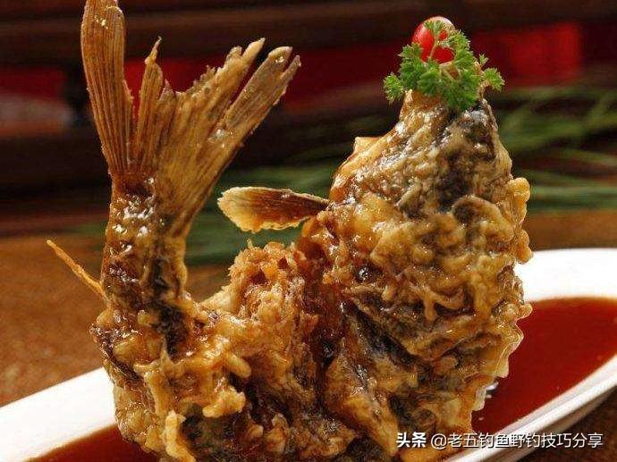 掌握鲤鱼习性，野钓轻松上钩：实用技巧助你高效钓获大鲤鱼