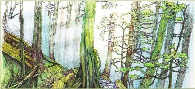 马克笔绘画教程风景画，马克笔绘画教程入门（适合初学者学习的彩铅风景画步骤教程）