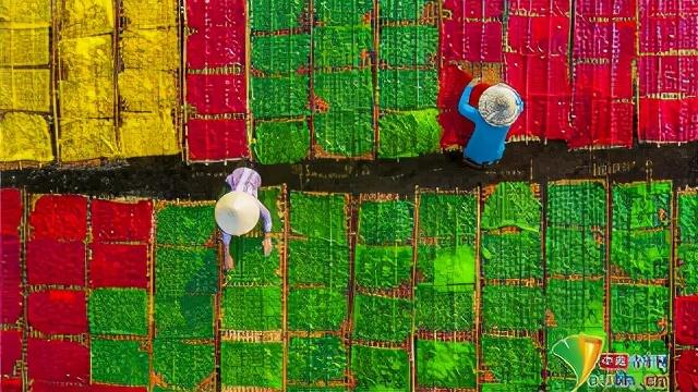 摩洛哥是哪个洲的国家，摩洛哥是哪个国家（你不知道的国家冷知识）