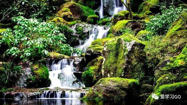 赛跑的拼音，赛跑的拼音怎么读（部编版二年级下册第23课《祖先的摇篮》知识点+图文讲解）