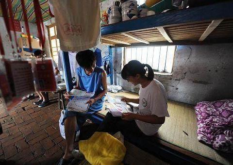 猪拱白菜什么意思，梦见白菜被猪拱了什么意思（“土猪”想要拱白菜？谈何容易）