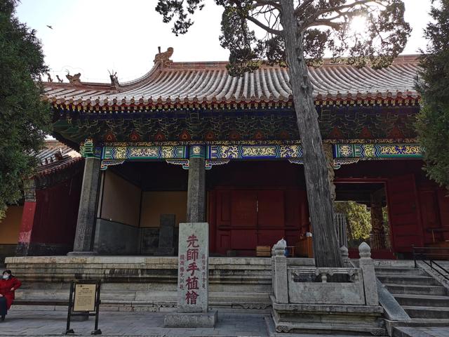 孔子的老家在哪里，孔子的家在哪里（孔子故里 东方圣城—曲阜）