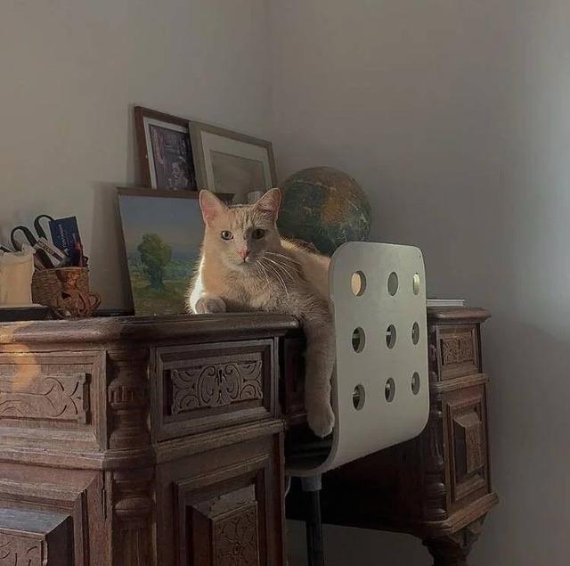 朋友圈封面图，朋友圈封面图片高清（朋友圈背景图封面图）