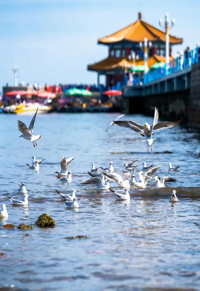 青岛景点排名一览表，青岛旅游景点大全（青岛旅游景点大全排名）