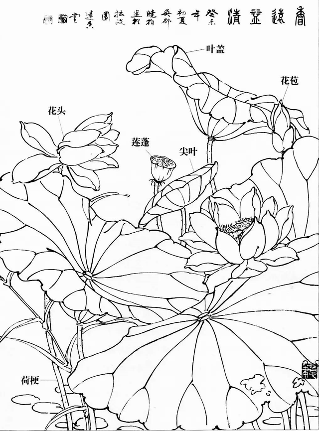 水墨画初学者入门教程，水墨画入门教程（图文教程：画水墨荷花）