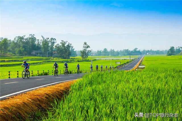 乡村道路名称大全，村庄道路名称大全（全国“十大最美农村路”“最具人气路”出炉）