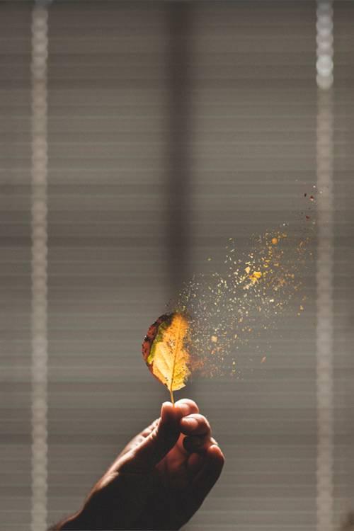 红尘炼心美文，红尘炼心的作品（修行的最好方式，就是红尘炼心）