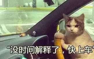 学车刷学时怎么刷，学车刷学时刷多长时间（“刷学时”魔幻手法曝光）