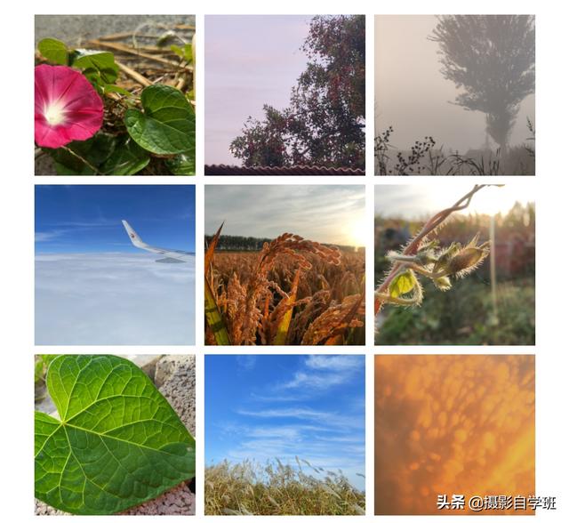 通过美图秀秀简单实现制作好看的9宫格图片，九宫格图片怎么拼（只需4步，这么发朋友圈真好看）