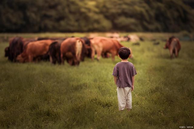 好听霸气的名字，好听霸气的名字男生（好听又霸气的男孩名字）