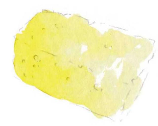 彩铅画入门教程步骤图，彩铅画详细教程（分步骤讲解笔等绘画工具的准备）