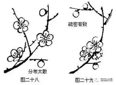 梅花简笔画的画法，梅花的简易画法简笔画（国画梅花画法详解）