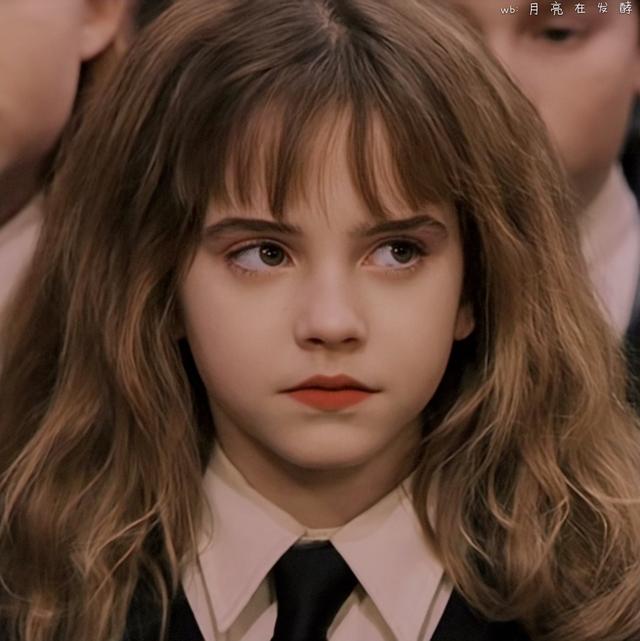 赫敏·格兰杰小天使［哈利.波特］，哈利波特女主角赫敏格兰杰（小赫敏感觉毛茸茸的图片）