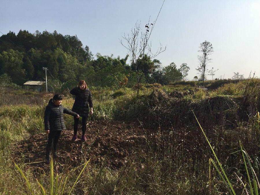 温氏工程机械 四川营山县一企业建种猪场“撬祖坟”引发争议