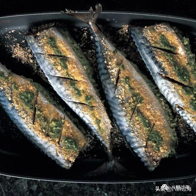 马鲛鱼有几种，马鲛鱼是什么鱼种（鲐鱼、鲅鱼、挪威青花鱼）