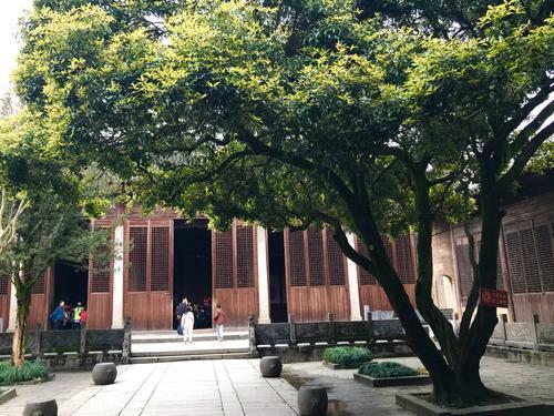 两棵枣树有何寓意 家里种两棵枣树有什么含义，两棵枣树有何寓意（俗话“庭院有四树）