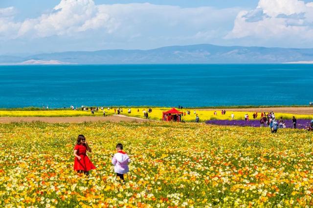 青海旅游景点排名前十，青海旅游景点排名前十自驾游地图（青海十大经典旅游景点）