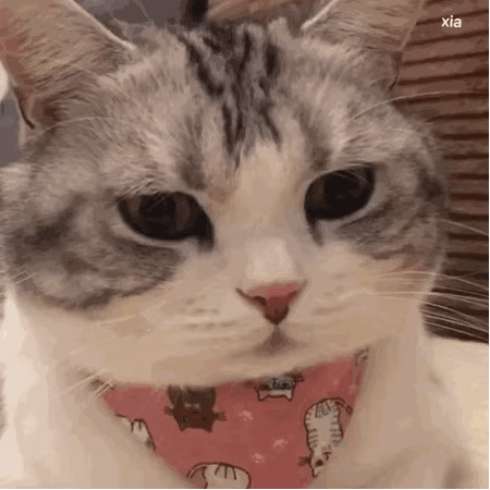 让所有人都佩服的星座女，让人敬佩的星座女（年度最佳宝藏星座女，就是她了）