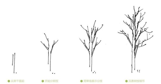 超简单风景速写入门初学者，适合初学者学习的速写中植物配景的画法图解教程