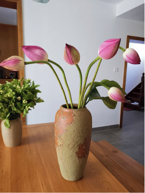 鲜花的保鲜期是多久，鲜花的保鲜期是多久啊（花期延长2倍）