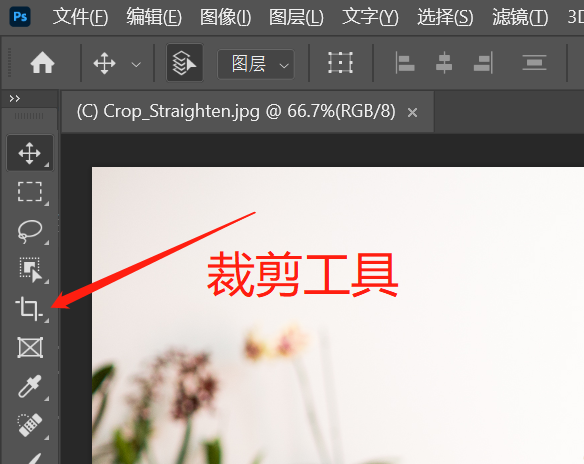 ps怎么调分辨率，怎样调整ps界面的分辨率大小（一分钟学会PS裁剪和调整图像大小）