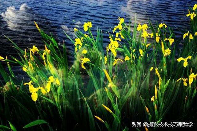 曝光是什么意思，违法曝光是什么意思（用简单通俗的语言告诉你拍摄技法）