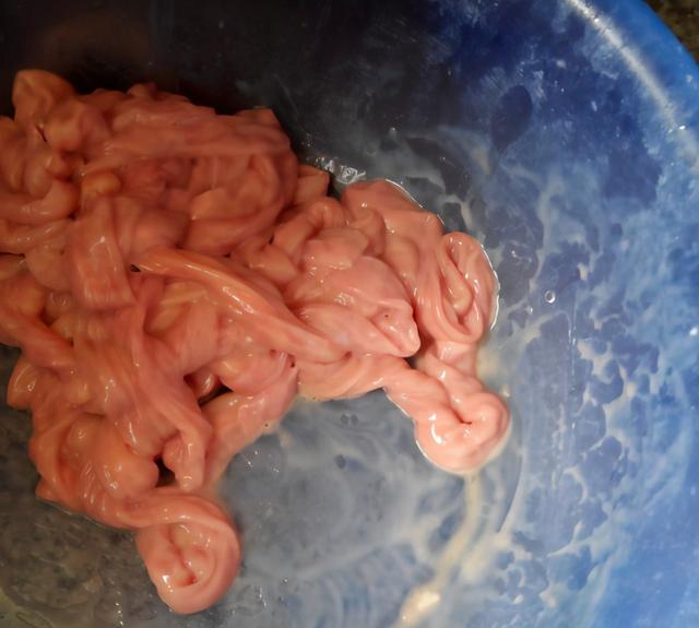 猪小肠怎么洗才干净，处理过的猪小肠怎么洗不臭（清洗猪小肠时，加醋加碱都错了）