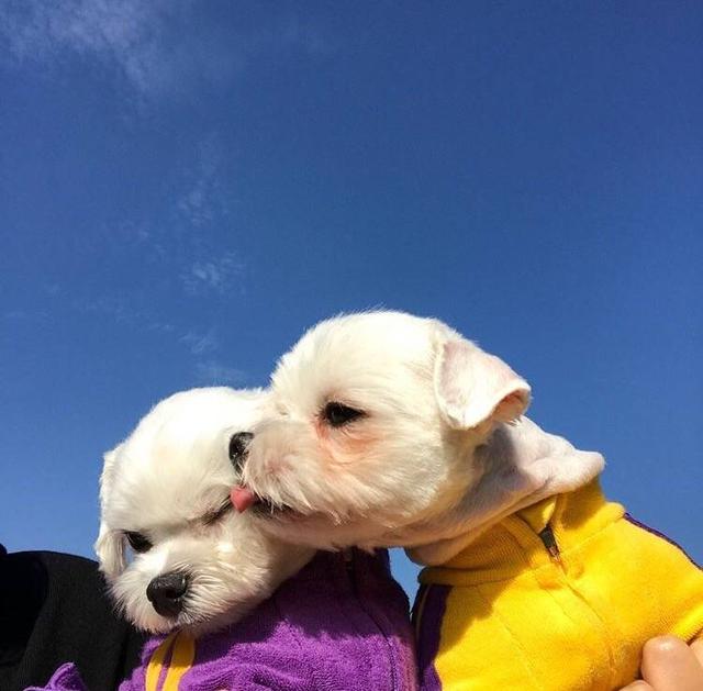 喜欢是心动 爱是心定.，微信头像，喜欢是心动 爱是心定.（头像，心动不是答案 心定才是）