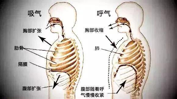 怎样正确自学美声，如何自学美声唱法（美声唱法？怎样运用与练习）